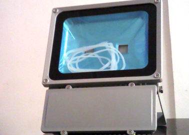 /당을 위한 알루미늄 포장 100W LED 단계 홍수 빛 저녁밥 광도 결혼식