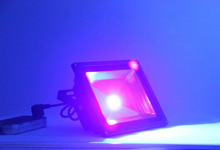 20w UV 옥외 까만 은은 홍수 빛 1800년을 - 2000lm 120° 보장 2 년 지도했습니다